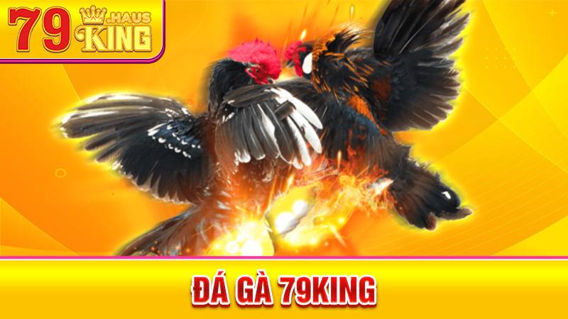 Đá Gà 79King - Trải Nghiệm Cá Cược Gà Chọi Uy Tín 2026 1 Đá gà 79King